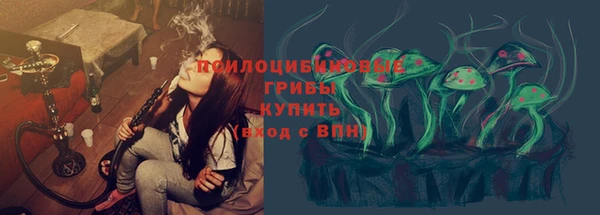 бошки Медвежьегорск