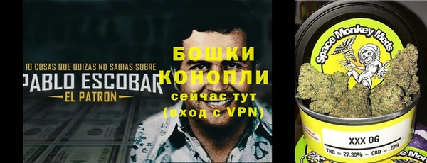 бошки Медвежьегорск